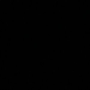 Meet your Posher, Bridget